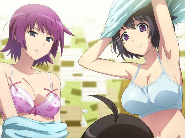 [131 photos] about the erotic image of the Bakemonogatari series. 1 83