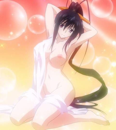 [125 Images] If you have a picture of high school dxd. 2 12