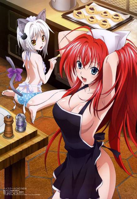 [125 Images] If you have a picture of high school dxd. 2 18