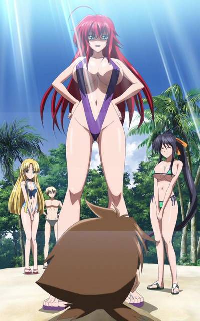 [125 Images] If you have a picture of high school dxd. 2 36