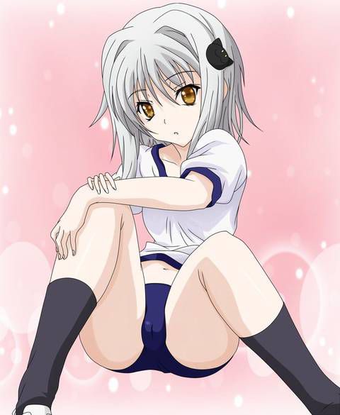[125 Images] If you have a picture of high school dxd. 2 7