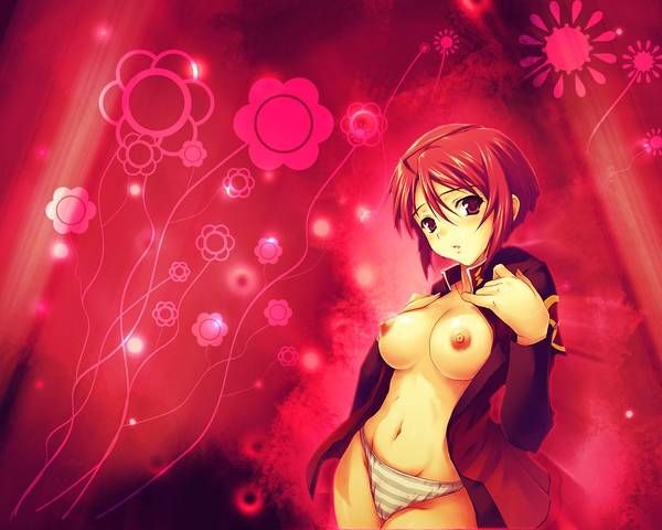 [100 photos] Luna Maria Hawk photo Gallery. 1 [Mobile Suit Gundam SEED DESTINY] 15