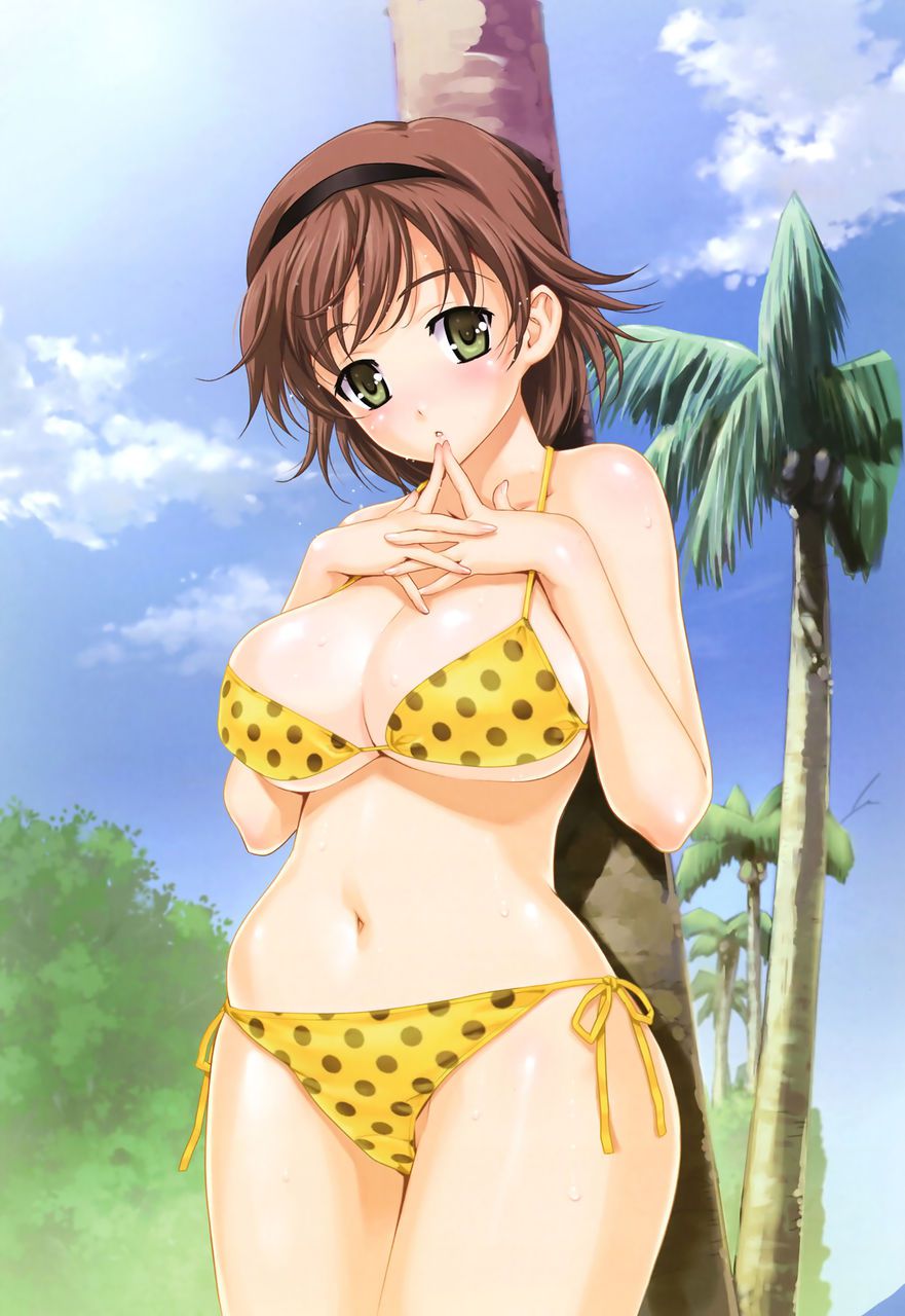 Swimsuit erotic image of the girl carefully selected [secondary swimsuit] Part 59 13