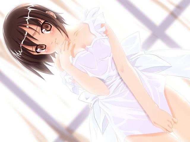 [124 erotic images] as long as there is a naked apron in this world. 11 [2d] 84