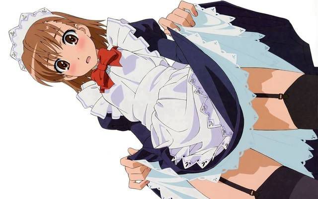 [57 sheets] Two-dimensional, cute maid's Erofeci image. 25 [Maid Clothes] 39