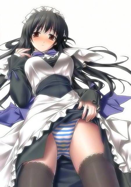 [57 sheets] Two-dimensional, cute maid's Erofeci image. 25 [Maid Clothes] 41