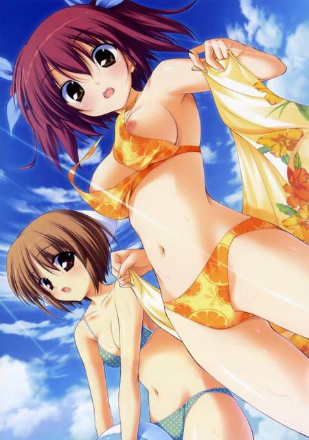 [57 sheets] two-dimensional! Lucky Lewd Erotic Image collection (* ´ Д ') nuke. 17 21