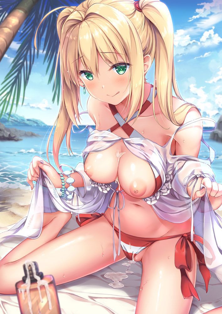 Secondary】 Fate/Grand Order (Fate/EXTRA-CCC), Nero Claudius Aii image Summary! No.13 [20 Sheets] 1
