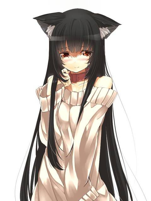 [75 pieces] Erofeci image collection of two-dimensional, animal ear girl! 16 1