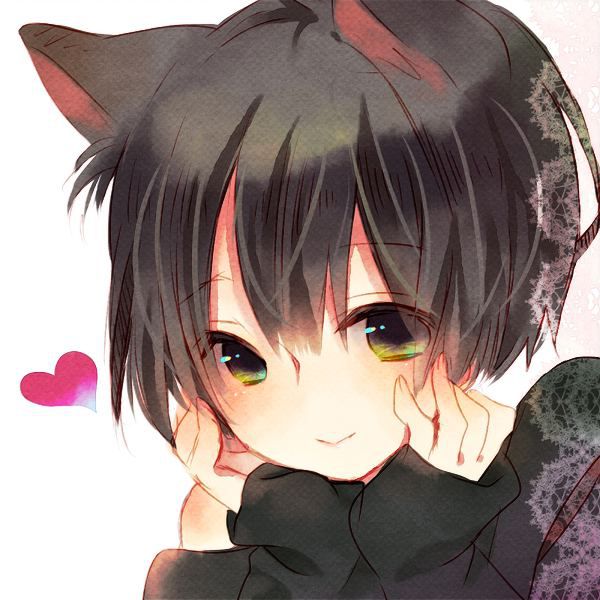 [75 pieces] Erofeci image collection of two-dimensional, animal ear girl! 16 10