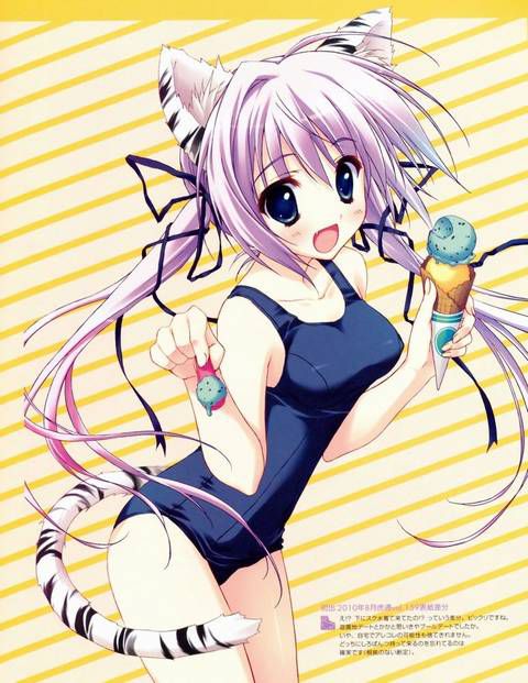 [57 pieces] Cute Erofeci image collection of two-dimensional school swimsuit. 40 48