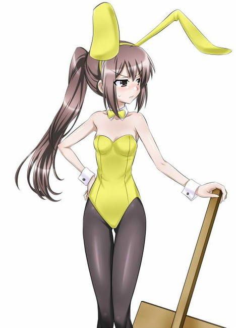 A secondary fetish image of a bunny girl. 16