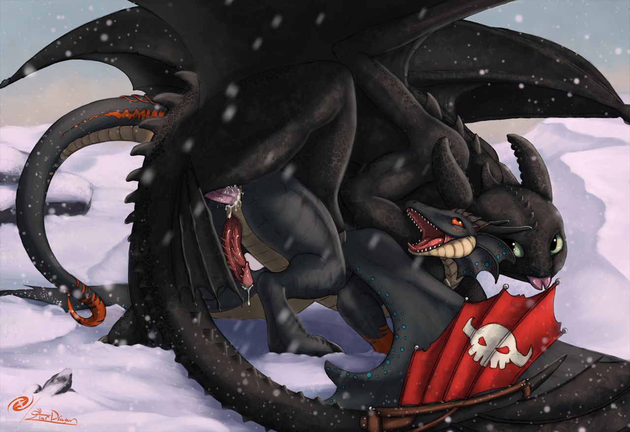 Toothless and Nubless Compilation (How to Train Your Dragon) 38