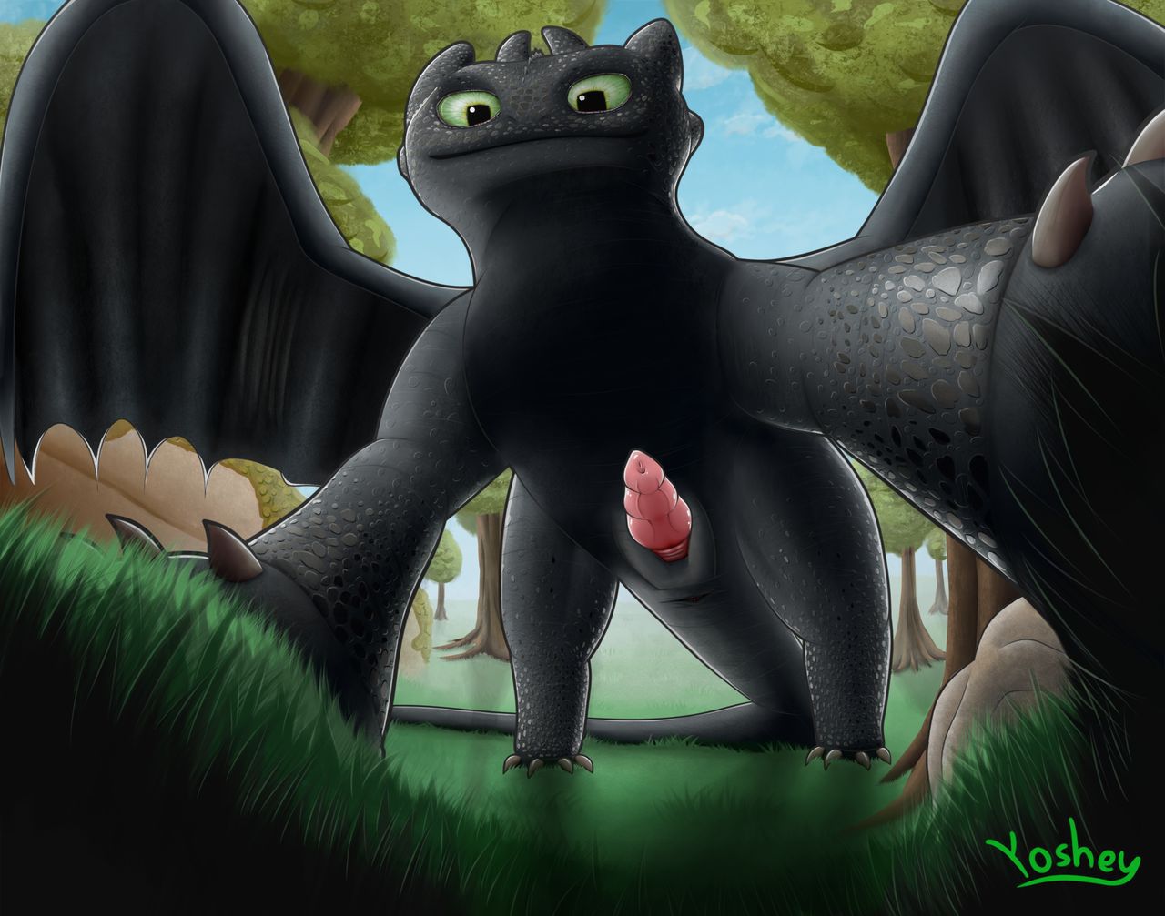 Toothless and Nubless Compilation (How to Train Your Dragon) 44