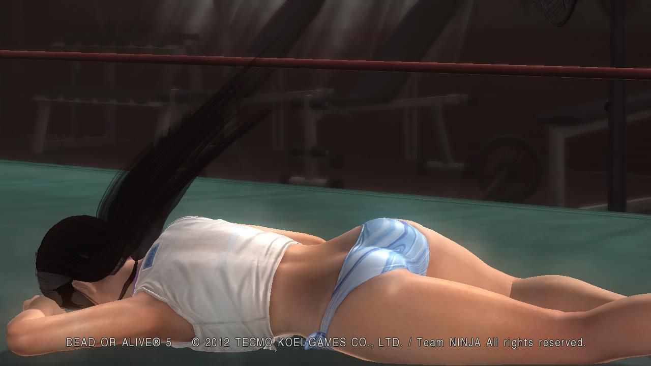 Dead or Alive 5 22