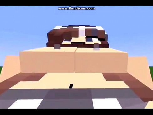 Sex a Girl in Minecraft Animation - 12 min Part 1 29