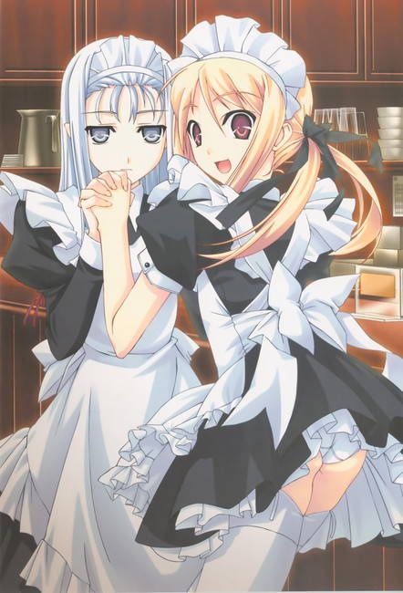 [Two-dimensional 50 sheets] cute maid's erotic image part46 [maid clothes] 27