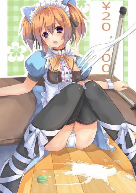[Two-dimensional 50 sheets] cute maid's erotic image part46 [maid clothes] 31