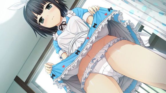 [Two-dimensional 50 sheets] cute maid's erotic image part46 [maid clothes] 51