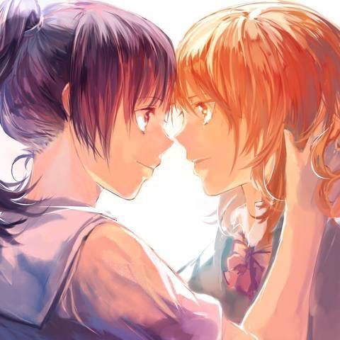 [58 pieces] two-dimensional yuri, lesbian girl erotic images collection!! 31 33