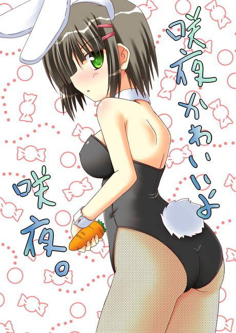 [Two-dimensional 49 pieces] Hayate the Butler! Erotic pictures of boring part1 3