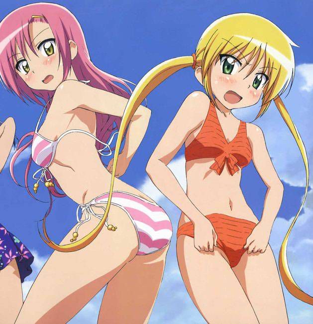 [Two-dimensional 49 pieces] Hayate the Butler! Erotic pictures of boring part1 8