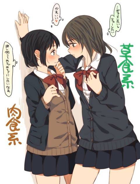 [58 photos] Two-dimensional yuri, lesbian girl erotic image Collection!! 29 44