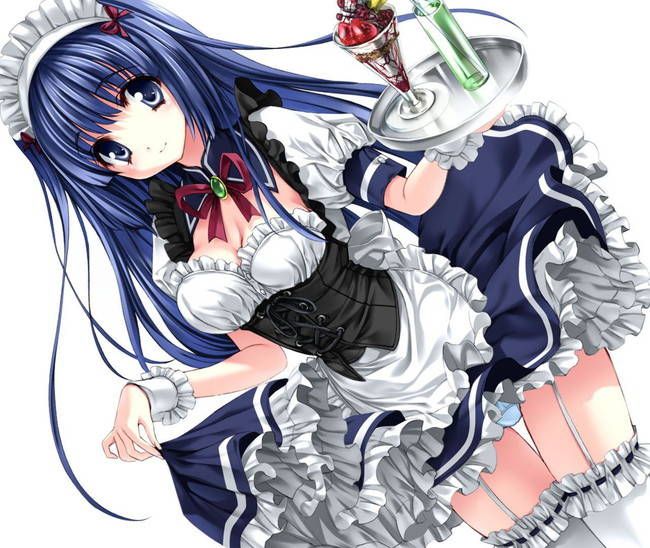 [50 maid clothes] Two-dimensional maid erotic image please! Part42 17