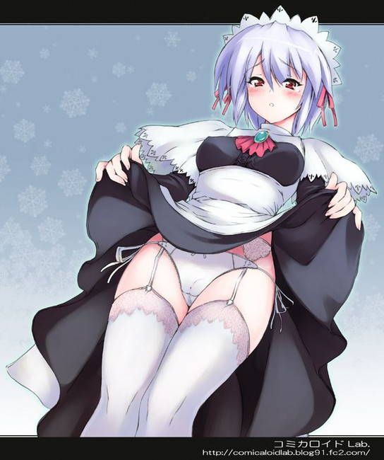 [50 maid clothes] Two-dimensional maid erotic image please! Part42 32