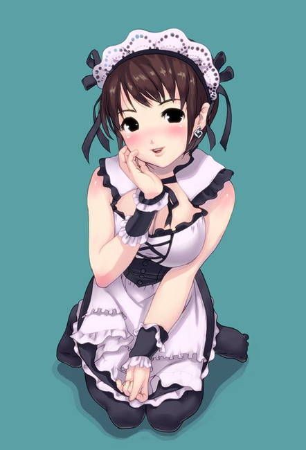 [50 maid clothes] Two-dimensional maid erotic image please! Part42 43