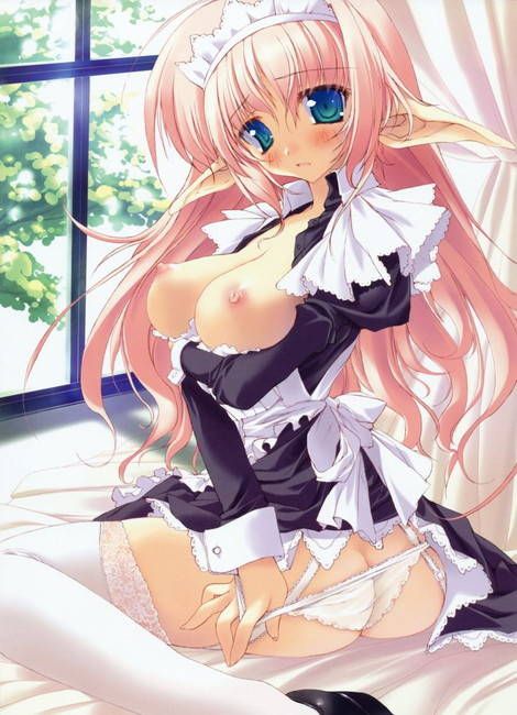 [50 maid clothes] Two-dimensional maid erotic image please! Part42 47