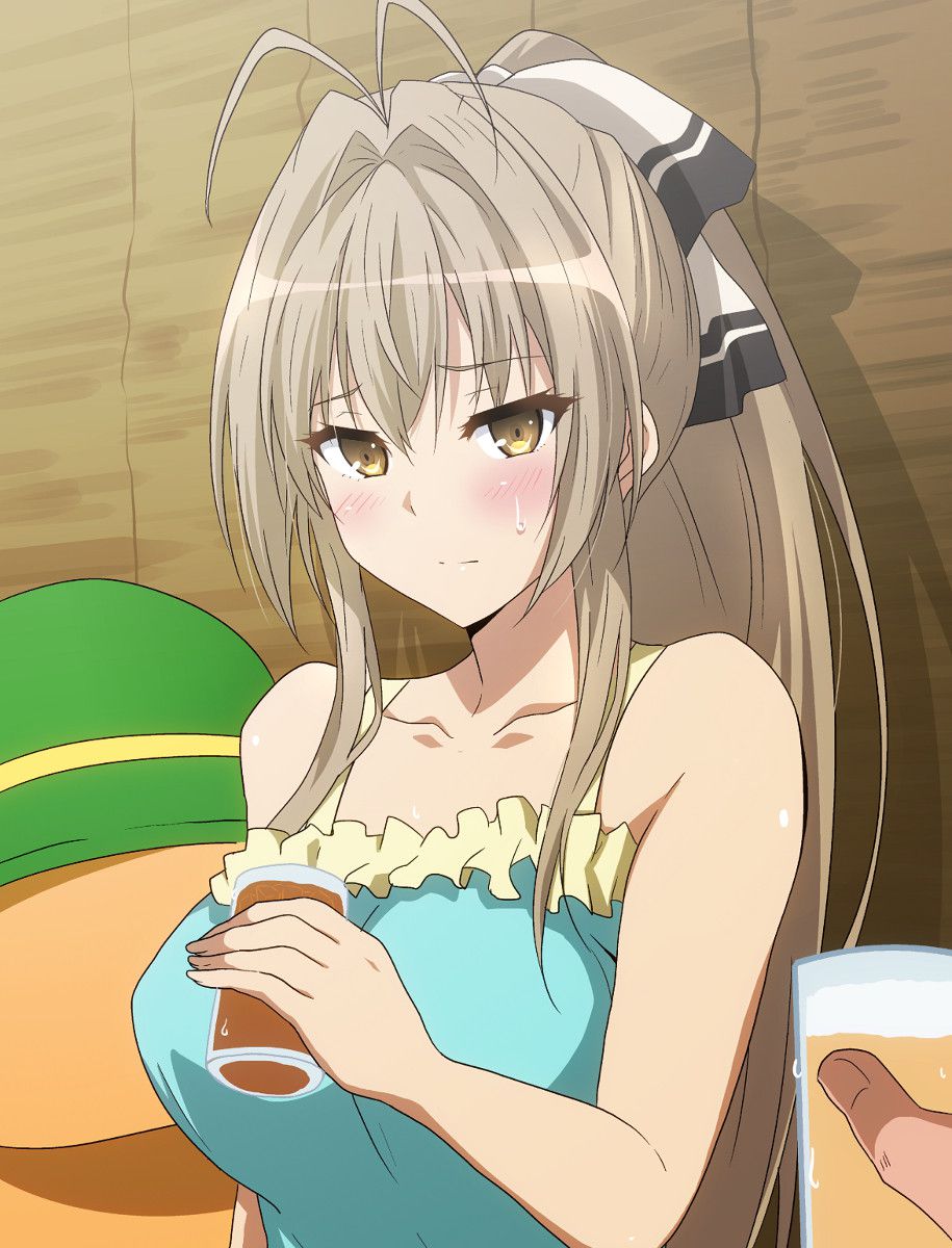[Amagi Brilliant Park] Isuzu is forced to be raped by a drinking party www 6