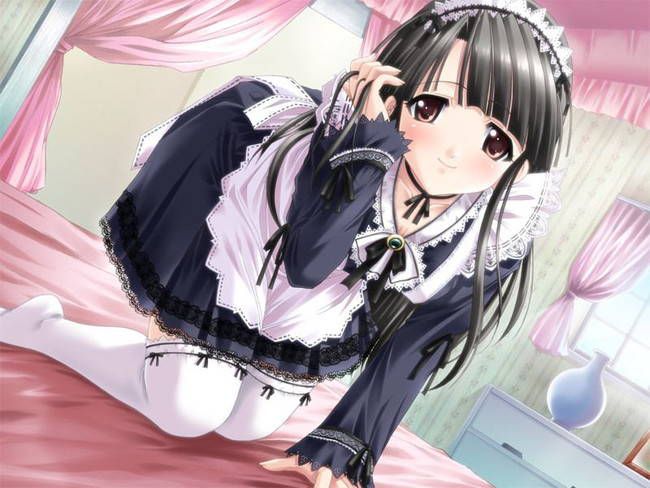 [50 pieces of maid's clothes] erotic two-dimensional made image Gris! Part33 11