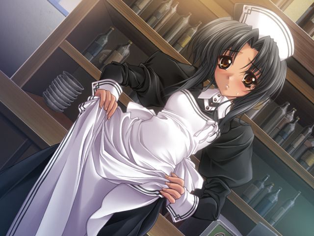 [50 pieces of maid's clothes] erotic two-dimensional made image Gris! Part33 12