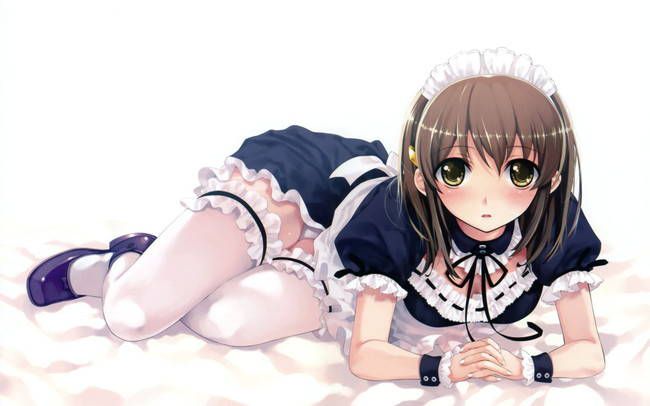 [50 pieces of maid's clothes] erotic two-dimensional made image Gris! Part33 20
