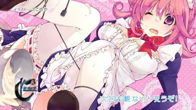 [50 pieces of maid clothes] two-dimensional maid erotic images please! Part37 14