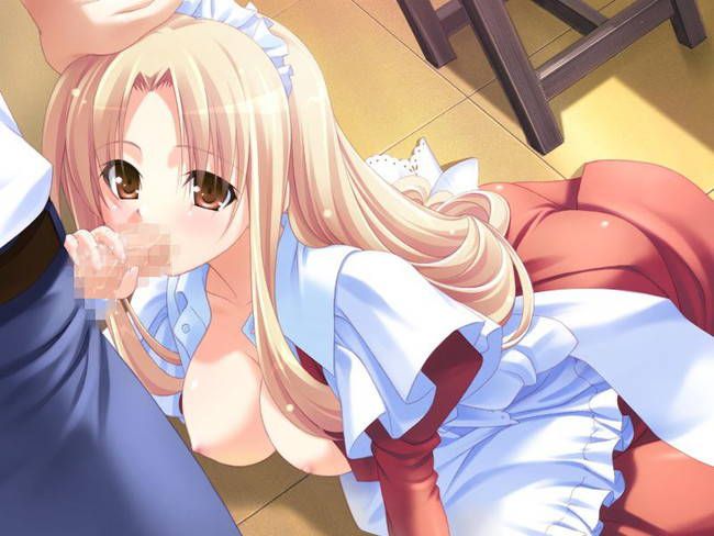 [50 pieces of maid clothes] two-dimensional maid erotic images please! Part37 19