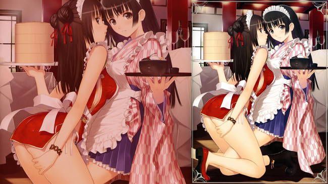 [50 pieces of maid clothes] two-dimensional maid erotic images please! Part37 24