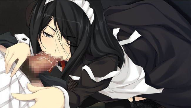 [50 pieces of maid clothes] two-dimensional maid erotic images please! Part37 8