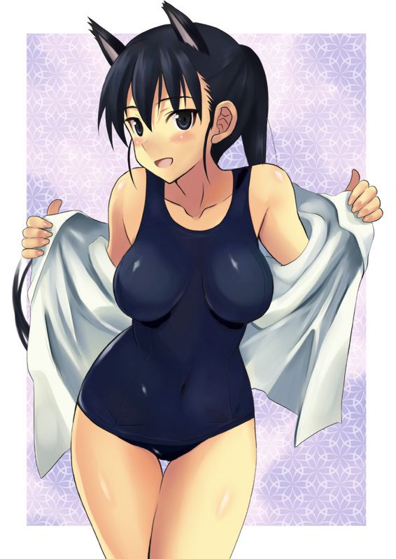 Erotic image assortment of two-dimensional swimsuit Mizumi girl. Vol 47