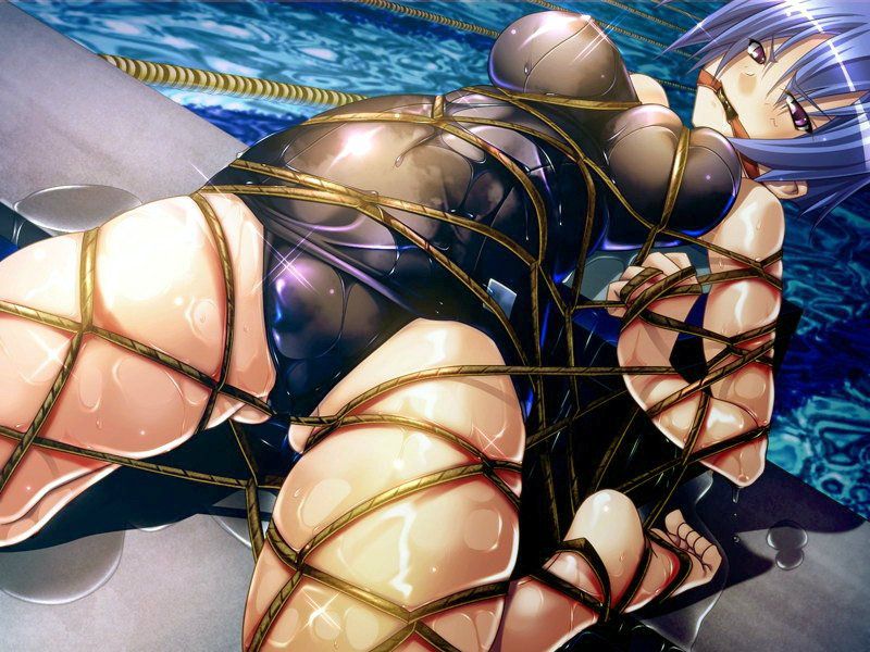 Erotic image assortment of two-dimensional swimsuit Mizumi girl. Vol 51