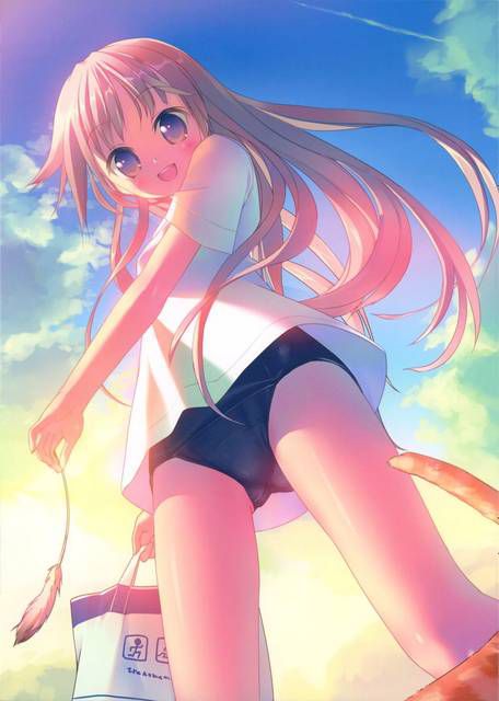 [55 sheets] Two-dimensional, swimsuit girl, cute Erofeci image collection. 31 38