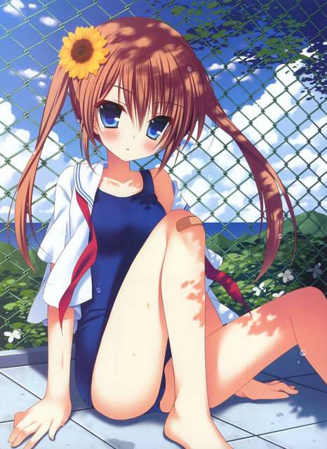 [55 sheets] Two-dimensional, swimsuit girl, cute Erofeci image collection. 31 43