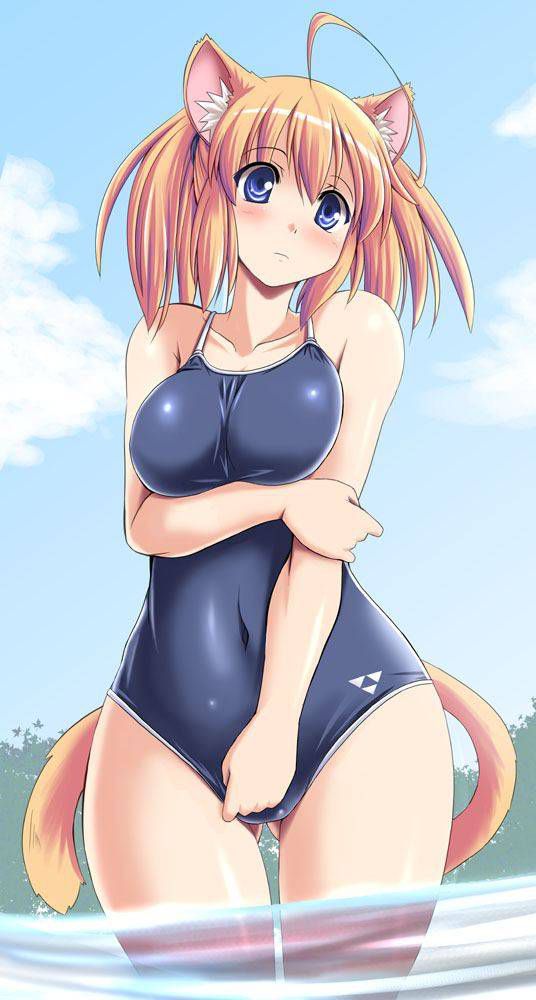 [55 sheets] Two-dimensional, swimsuit girl, cute Erofeci image collection. 31 55