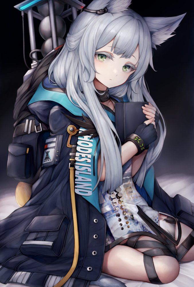 【Secondary】Images of Silver-Haired and Gray-Haired Women Part 38 34