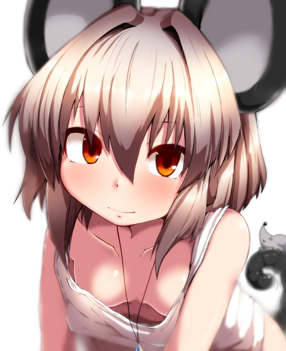 [Touhou] Nazrin's secondary image 2 50 pictures [erotic/non-erotic] 36
