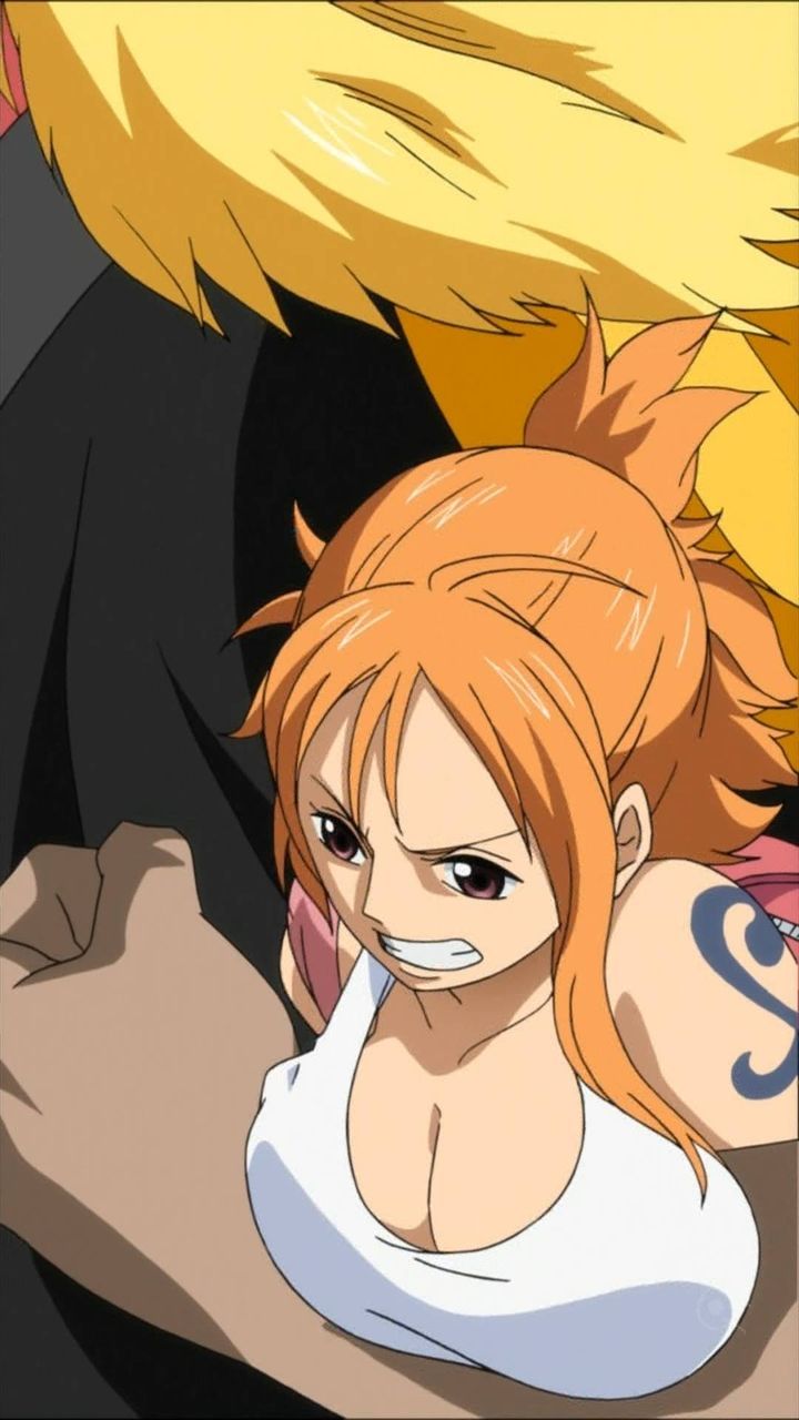 I collected erotic images of One Piece 7