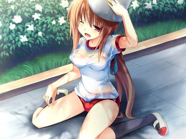 [50 pieces of physical education] two-dimensional erotic image part42 of bloomers and gymnastics uniform 20