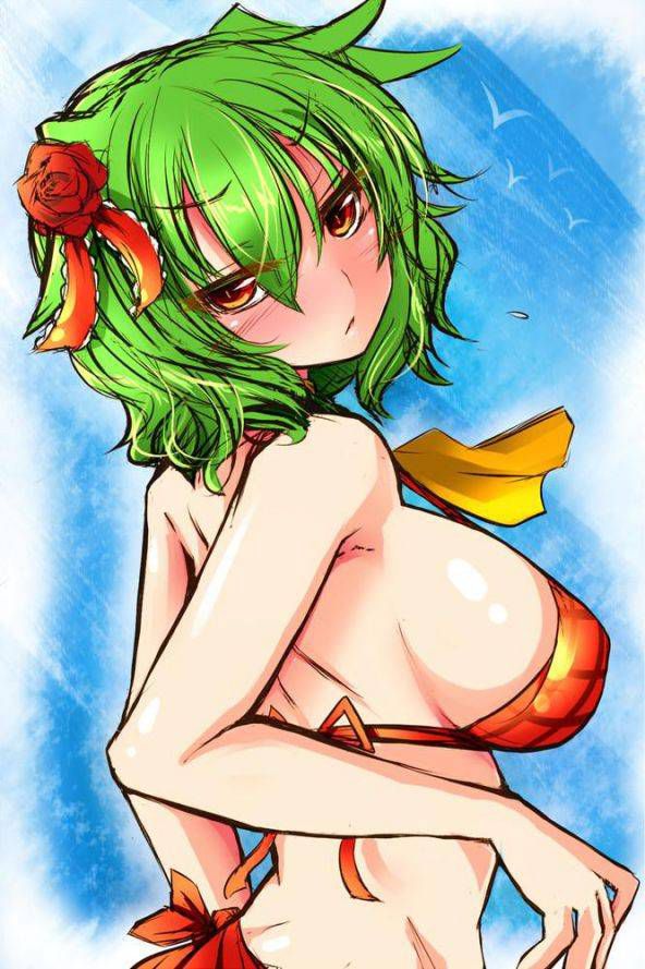 Touhou Project Photo Gallery 7