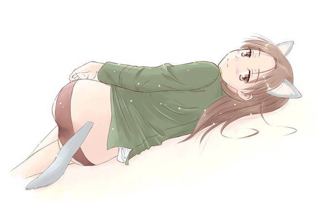 [49 pieces of bread] strike Witches secondary erotic images! Part7 40